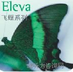 Elevawϵиߙnַ 