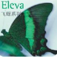 Elevawϵиߙn(sh)ַ 